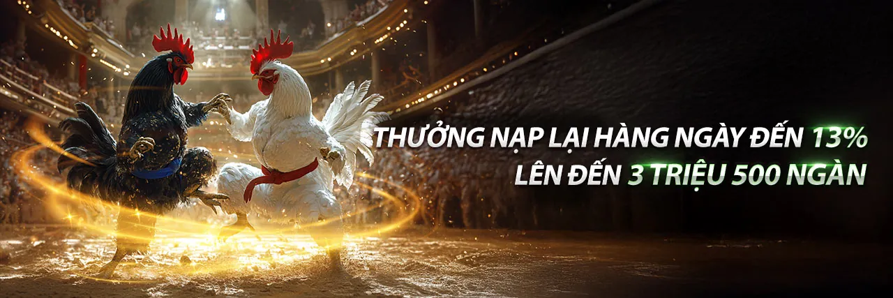 Giao diện hướng dẫn cá cược đá gà tại dagac3 win